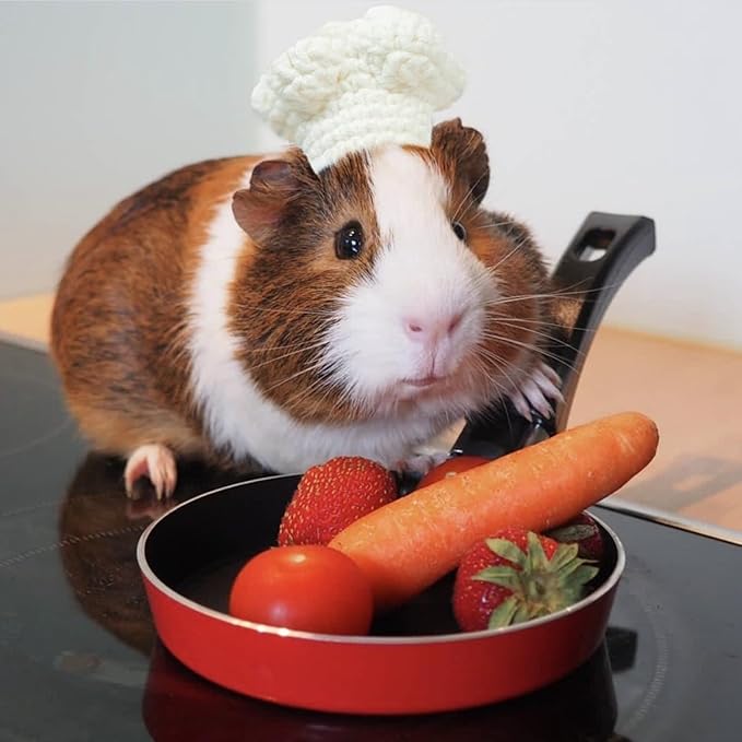 Guinea Pig Chef Hat - Hand Knitted Small Animal Cooking Chef Cap with Adjustable Strap Halloween Costume Outfit Prop Clothes Accessories for Rabbit Bunny Chinchilla Kitten Puppy (Medium) SEZDEKI