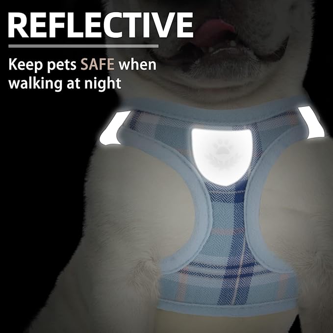 PUPTECK Adjustable Dog Harness Collar and Leash Set Step in No Pull Pet Harness for Small Medium Dogs Puppy and Cats Outdoor Walking Running, Soft Mesh Padded Reflective Vest Harnesses, Blue S PUPTECK