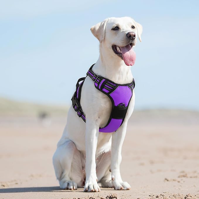 Eagloo Dog Harness for Large Dogs, No Pull Service Vest with Reflective Strips and Control Handle, Adjustable and Comfortable for Easy Walking, No Choke Pet Harness with 2 Metal Rings, Purple, L GoExplorewithEagloo