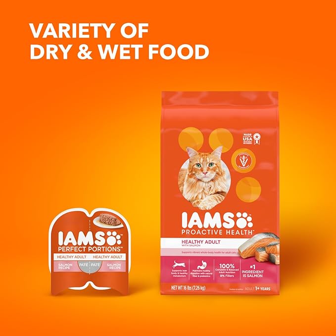 IAMS Proactive Health Adult Healthy Dry Cat Food with Salmon, 16 lb. Bag - PAWPICO
