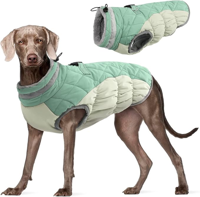 FUAMEY Dog Winter Jacket,Dog Cold Weather Coats Paded Dog Vest with Harness Built in Pet Warm Clothes Dog Apparel with Back Zipper Dog Water Resistant Coat for Small Medium Large Dogs Mint Green XXXL - PAWPICO