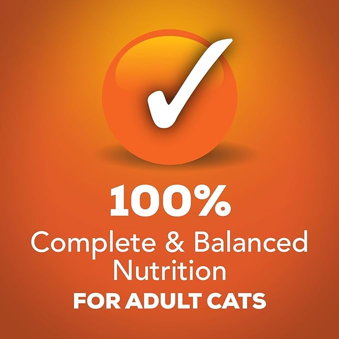Huge-Friskies-Variety Pack – 12 Total Pate Flavors: Salmon, Poultry, Mixed Grill, Chicken, Tuna, and More (5.5oz Each, 12 Cans Total) - PAWPICO