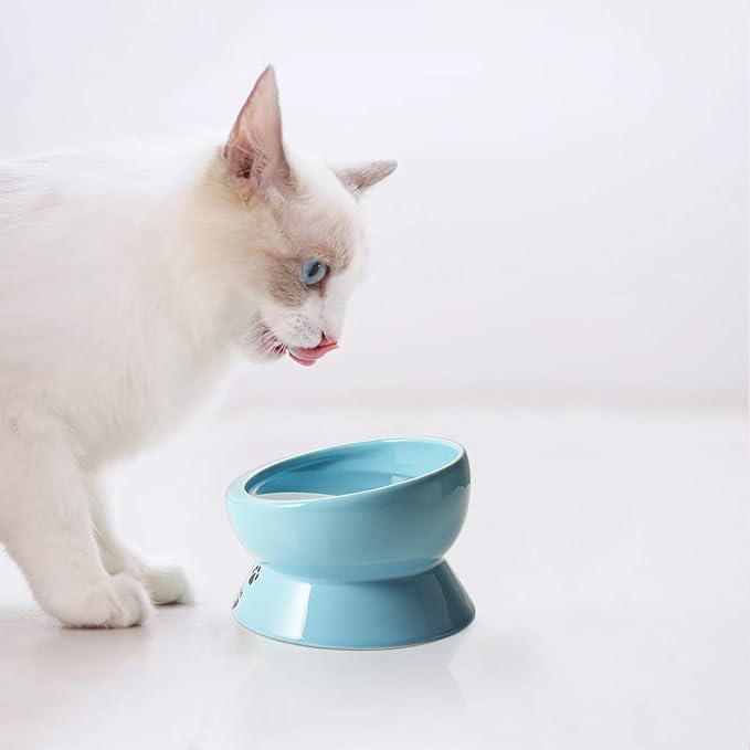 Y YHY Ceramic 15 Ounce Slanted Cat Food Water Bowl, Lake Blue - PAWPICO