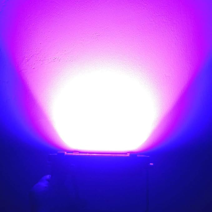 110V 20W Slim Waterproof Ultra Violet UV LED Flood Black Light Blacklight for Party Supplies, Glue Curing, Neon Glow, Glow in The Dark, with US Plug QUANS