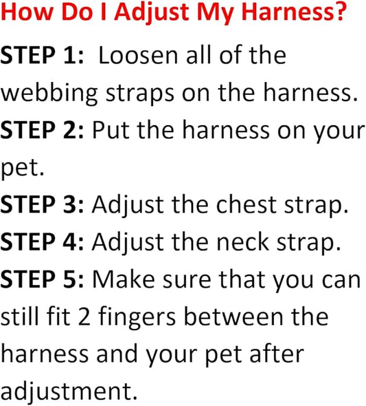 Best Pet Supplies Voyager Adjustable Dog Harness Leash Set with Reflective Stripes for Walking Heavy-Duty Full Body No Pull Vest with Leash D-Ring, Breathable All-Weather - Harness (Black), XS BestPetSuppliesLLC