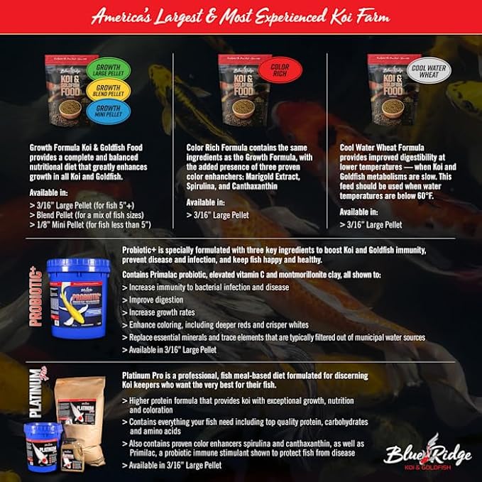 Blue Ridge Koi Fish Food 14lb - Koi Food 3/16” Large and Mini Blend Growth Formula, Goldfish Food, Premium Fish Food for Ponds, Ponds Fish Food, Floating Pond Pellets BlueRidgeFishHatchery