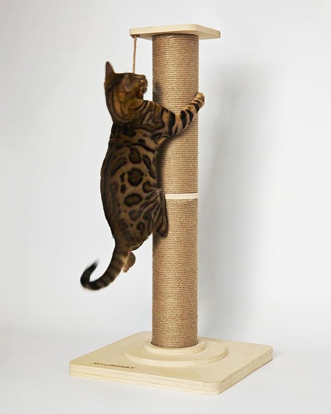 TINYBEAST Cat Scratching Post, Large 35'' Tall Sisal Cat Scratch Post with Thick Wooden Base for Indoor Cats, Super Stable Cat Scratcher Toy Protect Your Furniture - PAWPICO