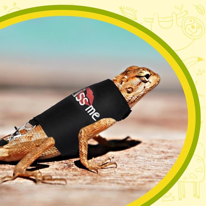 Bearded Dragon Leash and Harness Adjustable - Bearded Dragon Leash and Harness Set with Lizard Luminous Leash for Amphibians Chameleons Small Pet Animals Outdoor Safety Walking(Black) HOKABLE