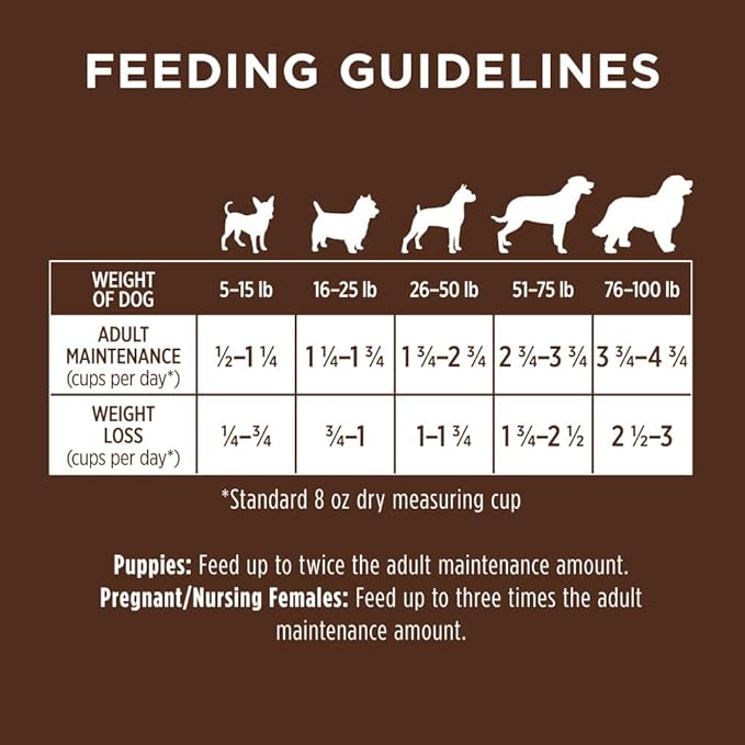 Instinct Be Natural Real Chicken & Brown Rice Recipe Natural Dry Dog Food, 25 lb. Bag - PAWPICO