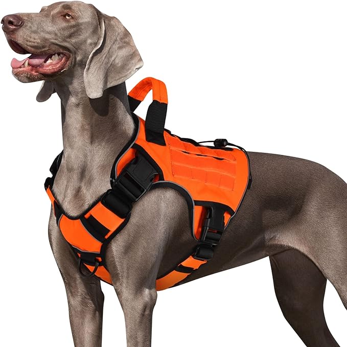 WINGOIN Orange Tactical Dog Harness Vest for Large Dogs No Pull Adjustable Reflective K9 Military Dog Service Dog Harnesses with Handle for Walking, Hiking, Training(L) WINGOIN