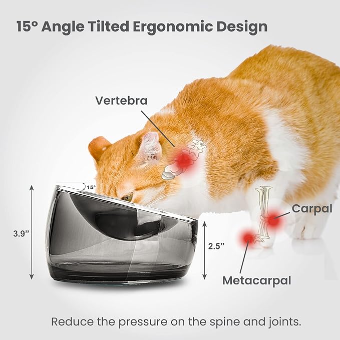 Felli Pet Oblik Whisker Fatigue Cat Food Bowl Raised Stainless Steel Shallow Dish, Pet Friendly Design Anti Vomit Tilted Metal Plate Feeder Elevated Acrylic Base for Treats Storage (0.5 Cups, Smoky) - PAWPICO