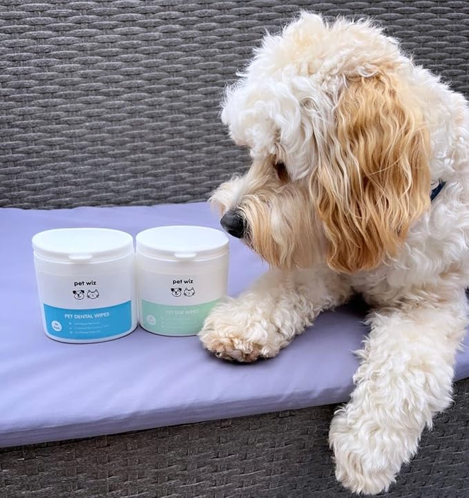 Dental Finger Wipes with Spearmint Oil for Dogs & Cats. Removes Plaque & Tartar, Care for Gums & No Rinsing Required. petwiz
