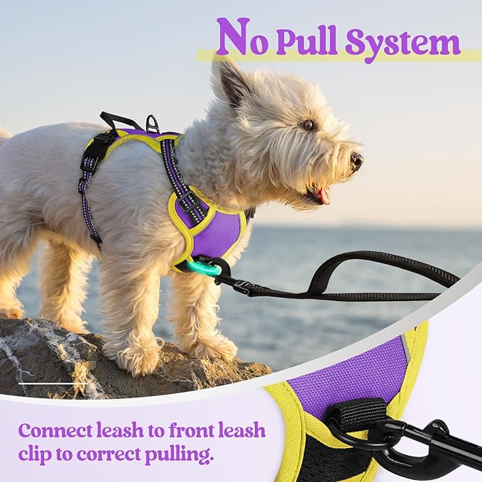 rabbitgoo Dog Harness No Pull with 2 Leash Clips, Adjustable Soft Padded, Reflective Oxford No Choke Pet Vest with Easy Control Handle for Puppy, Purple & Yellow, XS rabbitgoo