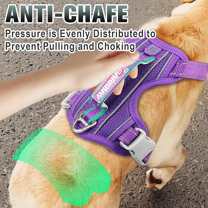 BARKBAY No Pull Dog Harness Large Reflective Dog Harness with Front Clip and Easy Control Handle for Walking Training Running with ID tag Pocket(Purple,M) BARKBAY