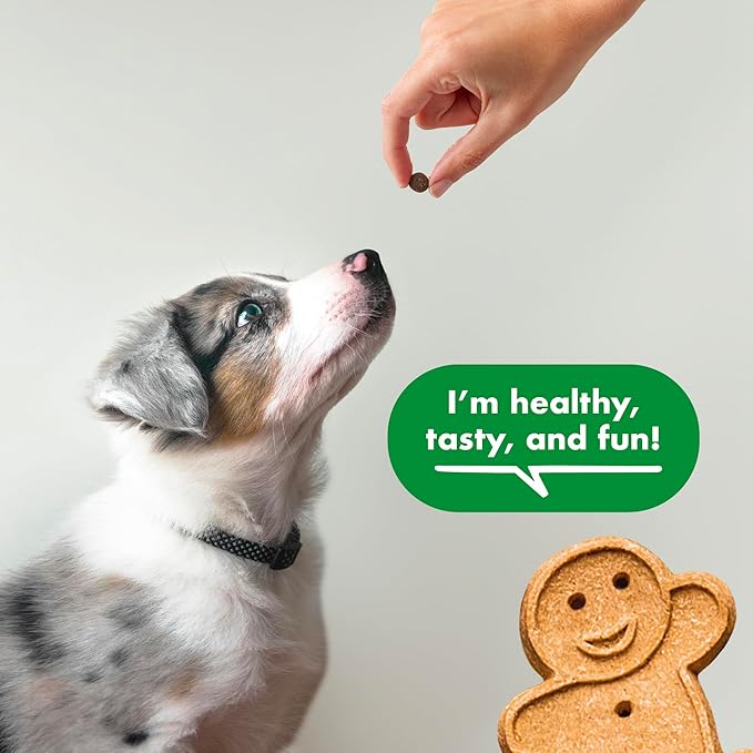 Buddy Biscuits Trainers 10 oz. Pouch of Training Bites Soft & Chewy Dog Treats Made with Chicken Flavor - PAWPICO