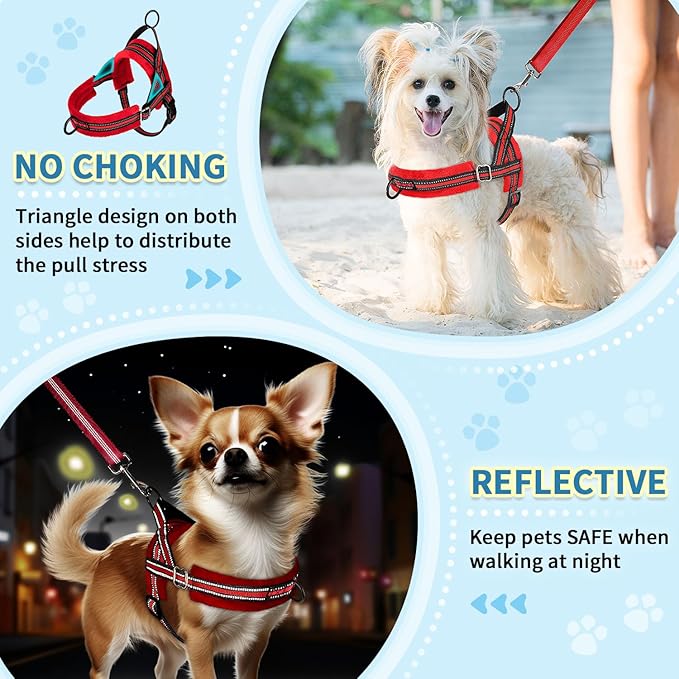 SlowTon No Pull Small Dog Harness and Leash Set, Puppy Soft Vest Harness Neck & Chest Adjustable, Reflective Lightweight Harness & Anti-Twist Pet Lead Combo for Small Medium Dogs (R-Front Clip,XS) SlowTon