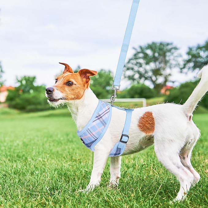 SCENEREAL Puppy Dog Harness with Leash Set for Small Medium Sized Dogs, Soft Mesh Step in Pet Harnesses and Leash, No Chock Plaid Adjustible No Pull Vest for Dogs Cats, Chihuahua,Bulldog (Blue XS) SCENEREAL