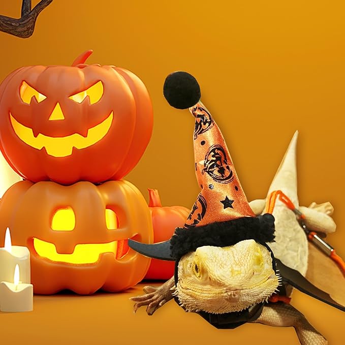 Halloween Bearded Dragon Leash Bearded Dragon Witch hat hat Leash Set Suitable for Bearded Dragon Small Pets HOKABLE