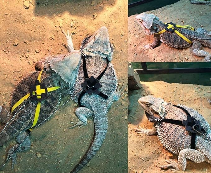 Lizard Leash Bearded Dragon Harness Adjustable Reptile Lizard Harness Leash Parrot Harness Turtle Lizard, Suitable for Gecko Hamster Kitten Small Animal Outdoor Walking,Green Sawyd