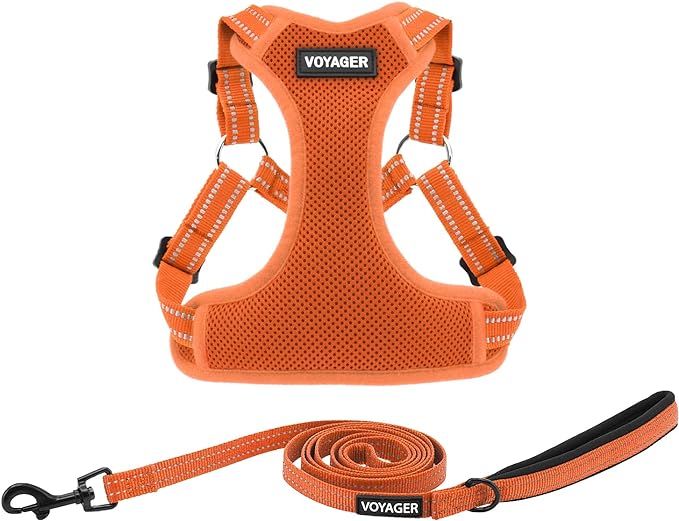 Best Pet Supplies Voyager Adjustable Dog Harness Leash Set with Reflective Stripes for Walking Heavy-Duty Full Body No Pull Vest with Leash D-Ring, Breathable All-Weather - Harness (Orange), XS BestPetSuppliesLLC