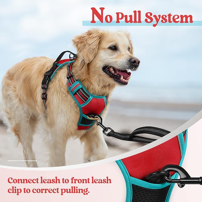 rabbitgoo Dog Harness No Pull with 2 Leash Clips, Adjustable Soft Padded, Reflective Oxford No Choke Pet Vest with Easy Control Handle for Medium Sized Dogs, Red & Teal, M rabbitgoo