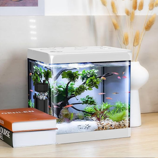 5 Gallon Glass Small Fish Tank,Betta Fish Tank with Filter and Light(Tank+Air Pump+Sponge Filter+Light),White Aquarium Starter Kit. Pronetcus