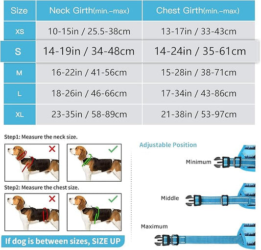Timos Dog Harness for Small Dogs No Pull,Front Clip Dog Walking Harness with Reflective Adjustable Soft Padded Vest and Easy Control Handle,No-Choke Pet Harness with 2 Metal Rings,Morning,S Timos