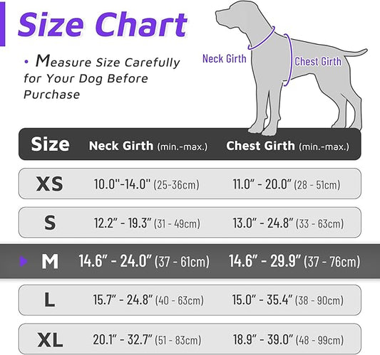 Eagloo Dog Harness for Large Dogs, No Pull Service Vest with Reflective Strips and Control Handle, Adjustable and Comfortable for Easy Walking, No Choke Harness with 2 Metal Rings, Purple & Green, M GoExplorewithEagloo