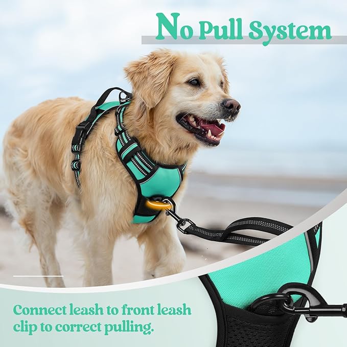 rabbitgoo Dog Harness No Pull with 2 Leash Clips, Adjustable Soft Padded, Reflective Oxford No Choke Pet Vest with Easy Control Handle for Small Dogs, Turquoise, S rabbitgoo