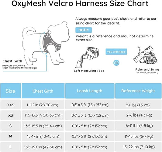 BELLA & PAL Puppy Harness with Leash Set, Dog Harness for Small Dogs No Pull, Dog Leash for Small Dogs, Step in Harness for Extra Small Dogs, Blue Harness, XS BELLAPAL