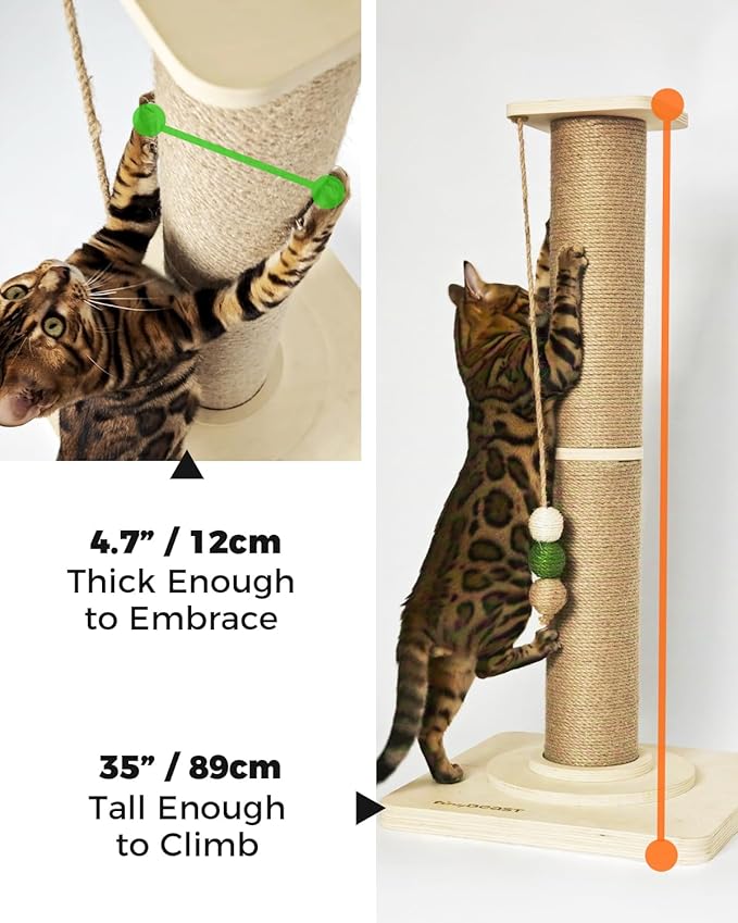 TINYBEAST Cat Scratching Post, Large 35'' Tall Sisal Cat Scratch Post with Thick Wooden Base for Indoor Cats, Super Stable Cat Scratcher Toy Protect Your Furniture - PAWPICO