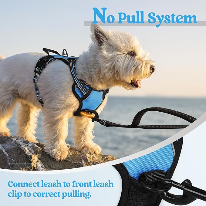 rabbitgoo Dog Harness No Pull with 2 Leash Clips, Adjustable Soft Padded, Reflective Oxford No Choke Pet Vest with Easy Control Handle for Puppy, Blue, XS rabbitgoo