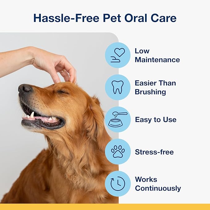 ProDen PlaqueOff Dental Care for Dogs and Cats, 60gm ProDenPlaqueOff