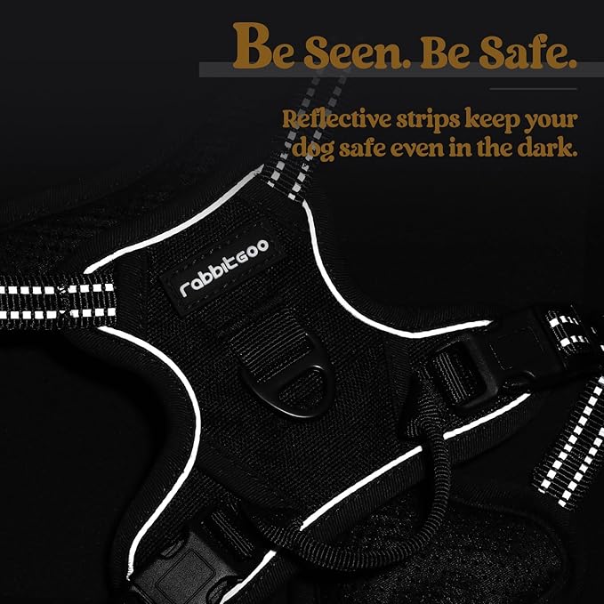 rabbitgoo Dog Harness No Pull with 2 Leash Clips, Adjustable Soft Padded, Reflective Oxford No Choke Pet Vest with Easy Control Handle for Puppy, Black, XS rabbitgoo