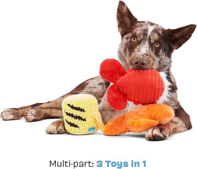 Barkbox The Maine Event Dog Toy Bundle – Squeaky Dog Toys – Plush Dog Toys – Puppy and Pet Toys for Medium to Large Dogs - PAWPICO
