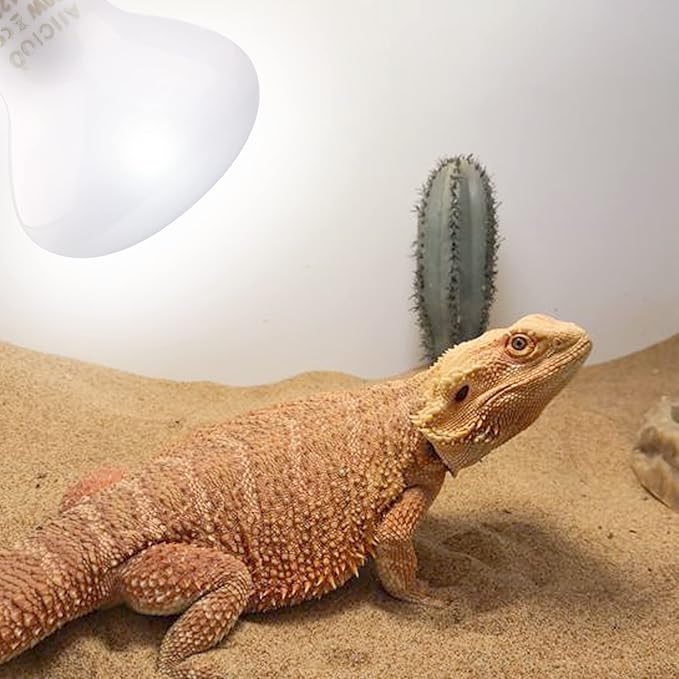 Aiicioo Reptile Basking Light Bulb - 50W Reptile Heat Lamp 2 Pack UVA Daylight Amphibians Basking Bulb for Bearded Dragon Turtle Hermit Crab Gecko Lizard Daylight AIICIOO
