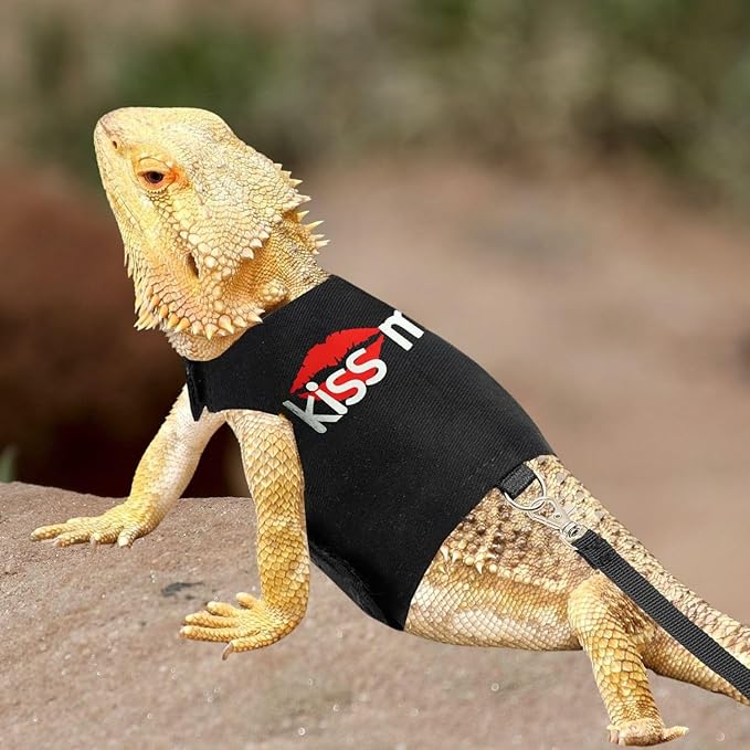 Bearded Dragon Harness and Leash Set - Adjustable Lizard Harness with Glow in The Dark Print Outdoor Traction Rope Walking Leash Reptile Halloween Costume Accessories for Small Pets (Black) SEZDEKI