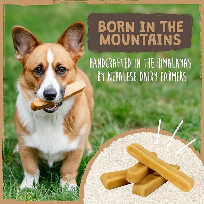Mighty Paw Yak Cheese Dog Chews - All-Natural Treats for Dogs - High Protein Treat With 68 Grams Of Protein Per Chew - Delicious And Long Lasting - Odor Free With Limited Ingredients - (Large, 4 Pack) - PAWPICO