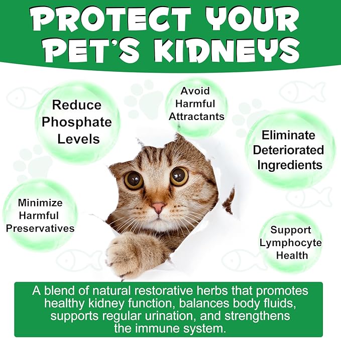 ALIVO Liver Support for Cats, Liver and Kidney Support for Cats with Natural Herbal Extract Helps Balance Cats Liver & Kidneys Health, Natural Pet Herbal Supplement for Cats - 60 ml PAWPICO