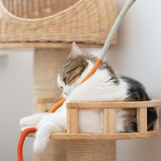 Quacc 4 PCS Cat Chew Toy Bite Ropes with Natural Gall Fruit, Colorful Kitten Chew Rope Interactive Cat Toy Sturdy Chewing Ropes for Cat Teeth Cleaning Stress Release - 27.6" - PAWPICO
