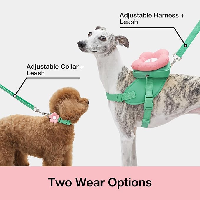 VETRESKA Flora Dog Harness, Leash and Collar Set, No Pull Dog Vest Harness for Walking and Training, Adjustable, Easy Control and Soft Padded Pet Harness and Backpack for Small Medium Large Dogs, S VETRESKA