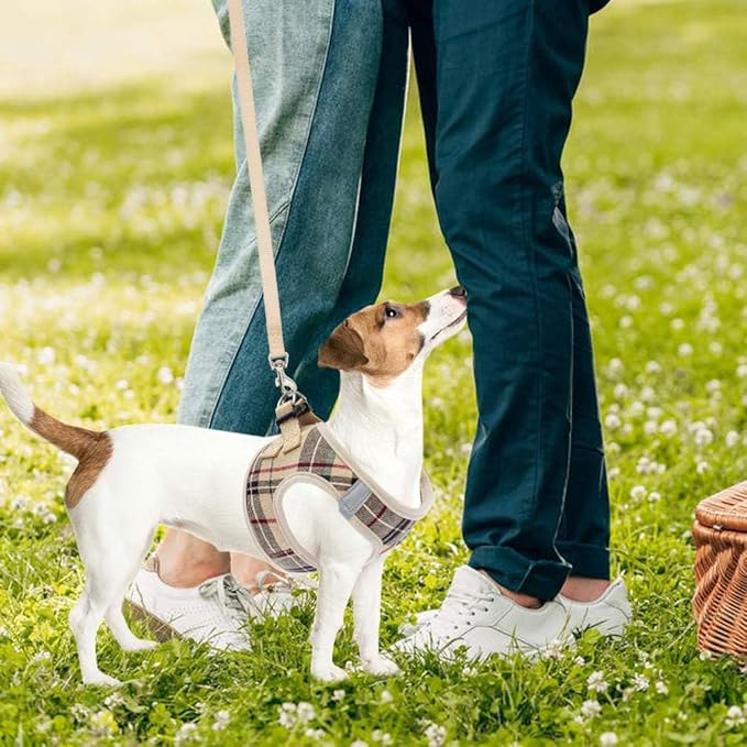 PUPTECK Adjustable Dog Harness Collar and Leash Set Step in No Pull Pet Harness for Small Medium Dogs Puppy and Cats Outdoor Walking Running, Soft Mesh Padded Reflective Vest Harnesses, Beige XS PUPTECK