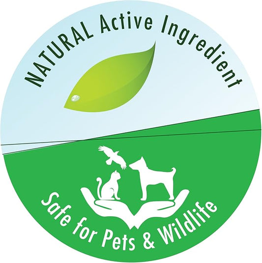 API POND MELAFIX Pond Fish Remedy 16-Ounce Bottle API