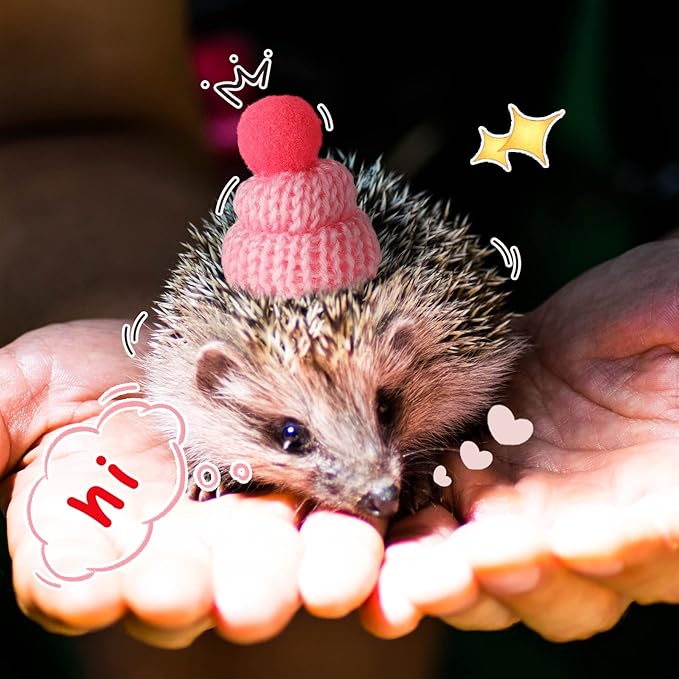 Kajaia 10 Pieces Pet Snake Hat Hamster Hat with Adjustable Elastic Strap, Snake Ball Hamster Python Lizard Guinea Pig Knitted Hat with Pompon for Small Reptile Animal Decoration Accessories Kajaia