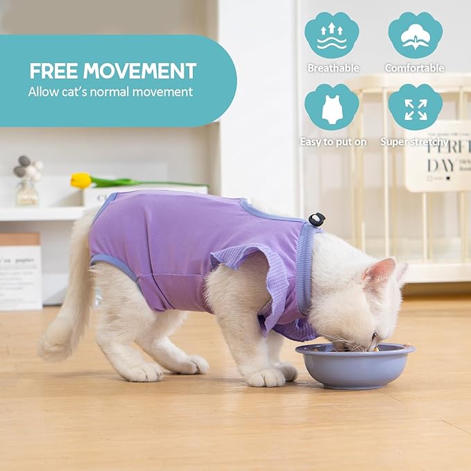 Avont Cat Recovery Suit - Post-Surgery Onesie for Cats, Alternative to Cone of Shame, Protective Spay Suit for Female Kitten, Ideal for Healing and Skin Conditions -Purple(L) Avont