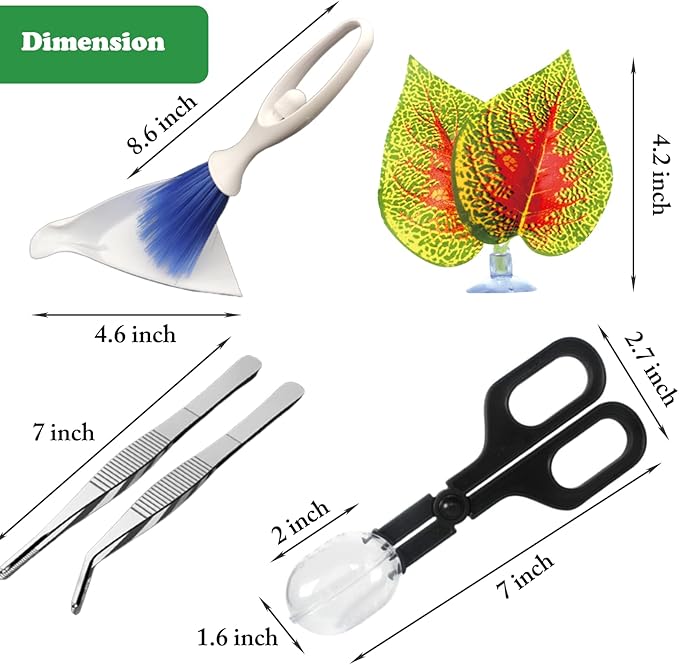 5Pcs Reptile Supplies Set, Include a Reptile Feeding Tongs, Two Stainless Steel Tweezers, Mini Dustpan, Brush and Leave for Hamsters, Turtle, Chameleon, Snake, Spider and Other Small Animals PHYPOBLE
