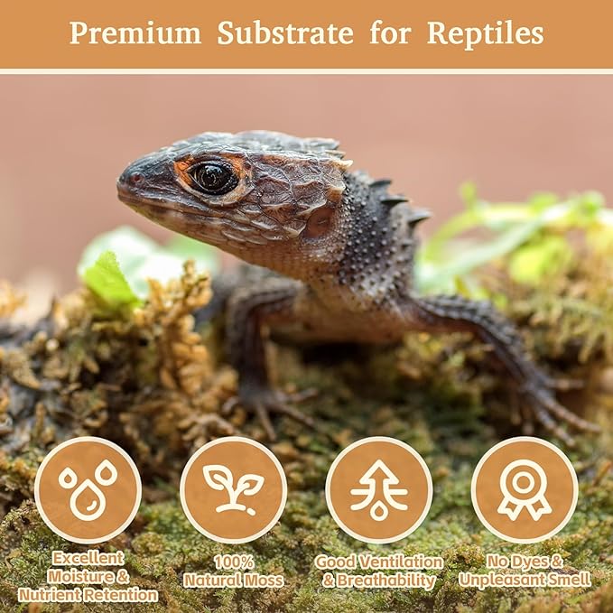 Riare 2.2LB Premium Sphagnum Moss for Reptiles- 50QT Natural Reptile Moss Dried, Forest Live Moss for Terrarium, Frogs Snake Peat Moss Bedding for Leopard Gecko Turtle Anoles Salamanders Orchid Plants Riare
