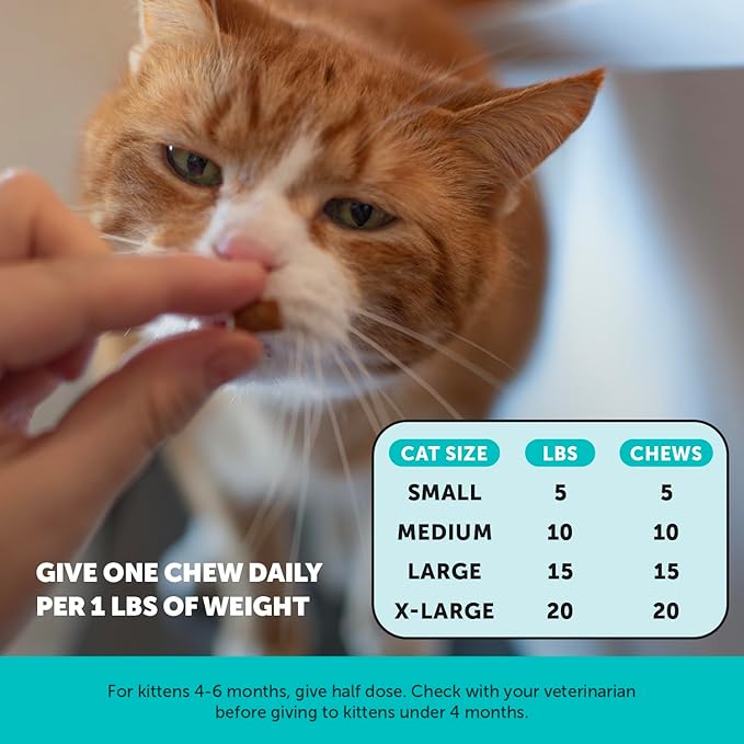 Pet Honesty Calming Chews for Cats - Cat Anxiety Relief + Helps Reduce Stress - Behavioral Support & Promotes Relaxation for Travel, Boarding, Vet Visits, Separation Anxiety - Chicken (30-Day Supply) PetHonesty