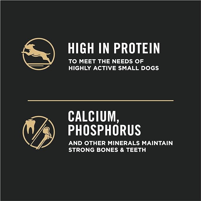 Purina pro plan High Protein Small Breed Dog Food, Shredded Blend Beef & Rice Formula - 6 lb. Bag - PAWPICO