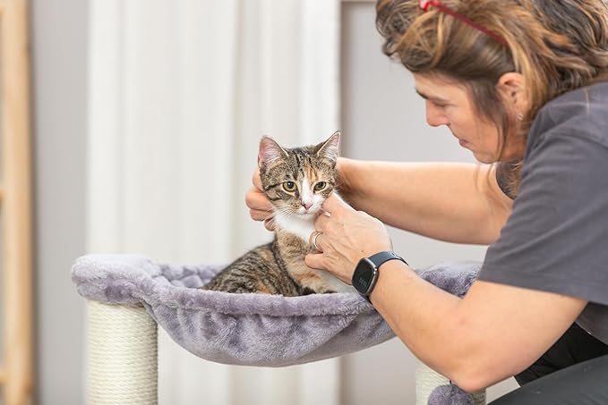 TRIXIE Baza 20-in Cat Scratching Posts, Durable Jute Cat Scratcher with Plush Hammock and Dangling Cat Toy, Gray - PAWPICO